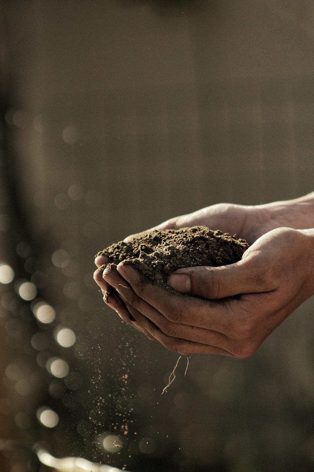 Soil Testing